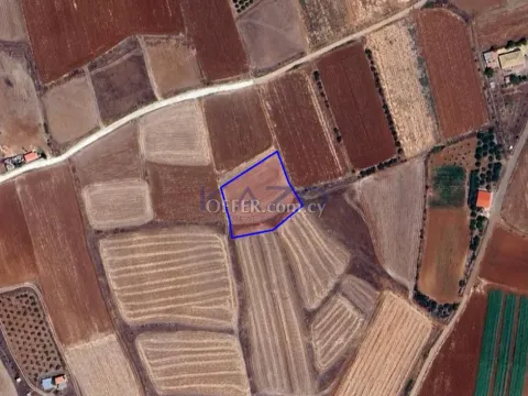 Large Field Plot for Sale in Peristerona Village - 8