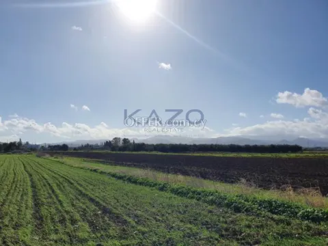 Large Residential Field for Sale Peristerona Village - 6