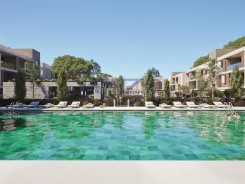 Stylish One Bedroom Apartment with Gym in Asomatos - 13