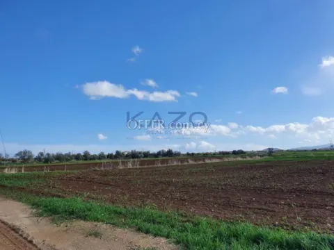 Large Field Plot for Sale in Peristerona Village - 7