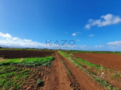 Large Residential Field for Sale Peristerona Village - 4