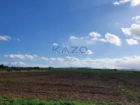 Large Field Plot for Sale in Peristerona Village - 5