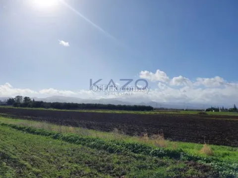 Large Residential Field for Sale Peristerona Village - 3