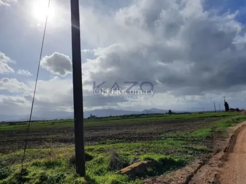 Large Field Plot for Sale in Peristerona Village - 4