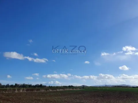 Large Field Plot for Sale in Peristerona Village - 3