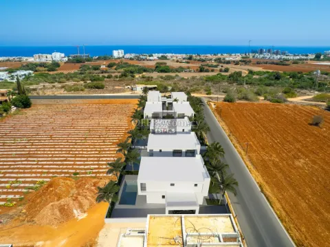 Stunning Four Bedroom Villa in Pernera - 3