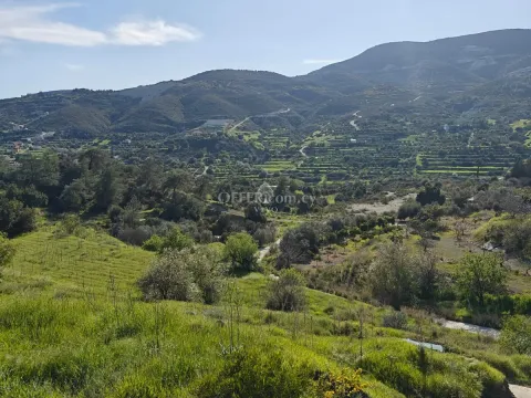 ADJOINED LAND OF 3039 M2 IN AKROUNDA - Main Photo
