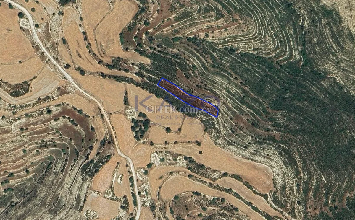 Large 1673m2 Field for Sale in Lofou Village (Landlocked) - 1