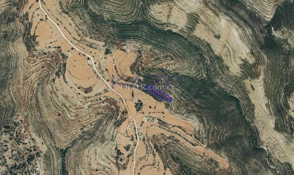Large 1673m2 Field for Sale in Lofou Village (Landlocked) - 2