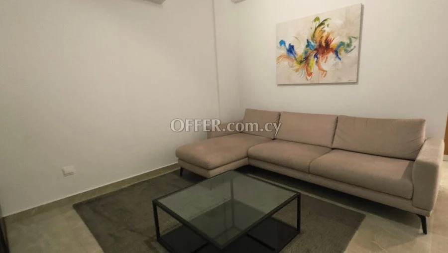 Modern spacious furnished 1 bedroom apartment in Zakaki - 7