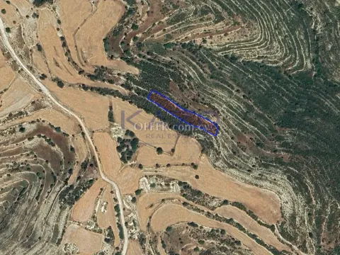 Large 1673m2 Field for Sale in Lofou Village (Landlocked) - Main Photo