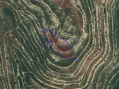 Large 2007 m2 Field for Sale in Lofou (Landlocked) - Main Photo