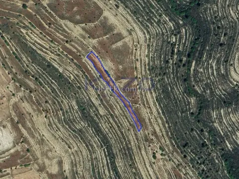 Large 2676 m2 Field for Sale in Lofou - Main Photo