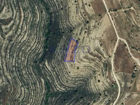 Large 2342 m2 Field for Sale in Lofou (Landlocked) - Main Photo