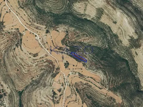 Large 1673m2 Field for Sale in Lofou Village (Landlocked) - 2