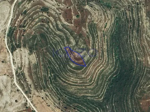 Large 2007 m2 Field for Sale in Lofou (Landlocked) - 2