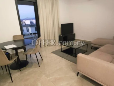 Modern spacious furnished 1 bedroom apartment in Zakaki - 8