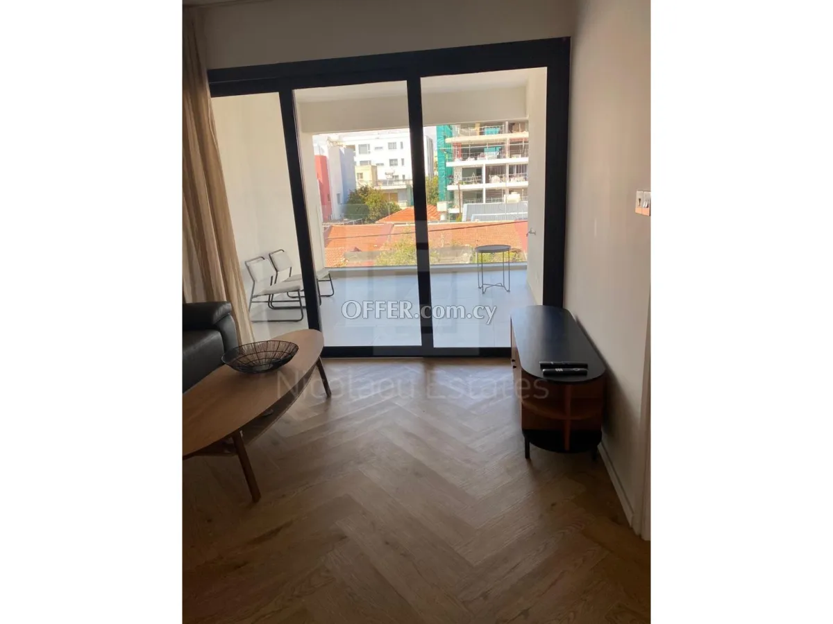 Modern two bedroom flat for rent close to the marina. Furnished - 7