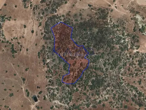 Large Field for Sale in Green Parekklisia Area - Main Photo