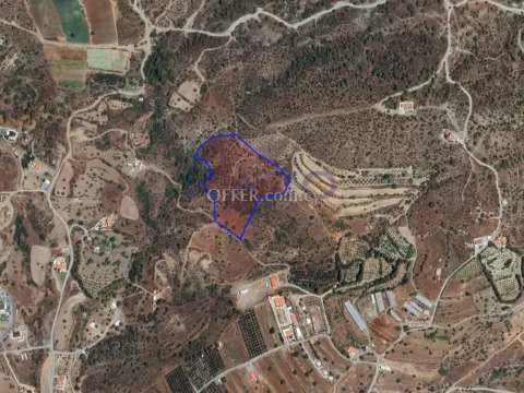 Large Field for Sale in Peaceful Parekklisia - 3