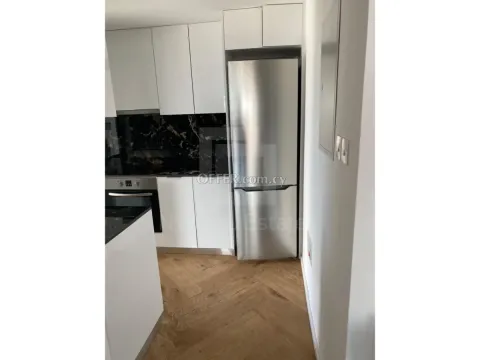Modern two bedroom flat for rent close to the marina. Furnished - 6