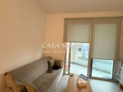 1 Bedroom Furnished Apartment in Aglantzia - 6