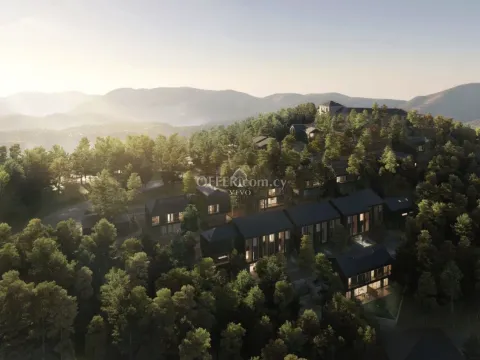 STUDIO APARTMENT IN PRODROMOS - TROODOS MOUNTAINS - 8