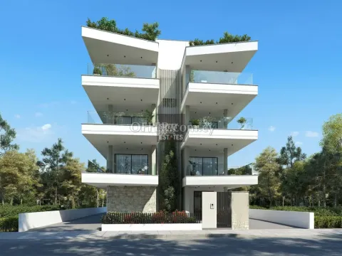 Three Bedroom Modern Apartment in Deryneia