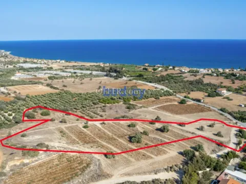Field for Sale in Maroni, Larnaca - Main Photo