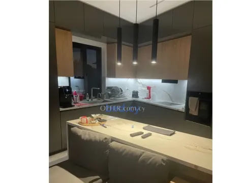 5 Bed Villa for Rent in Strovolos, Nicosia - 4