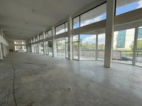 Big Shop for rent Acropoli - 5