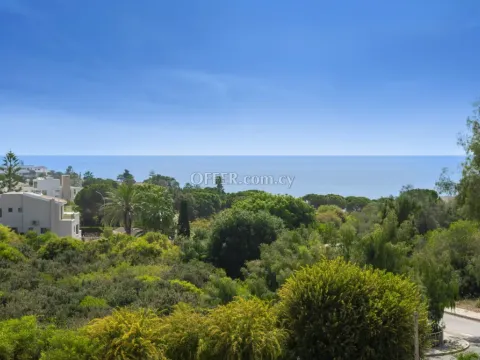 1 bed apartment for sale in Coral Bay Pafos - 3