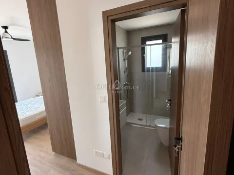 BRAND NEW THREE BEDROOM PENTHOUSE  FOR RENT IN GERMASOGIA PANOREA - 3