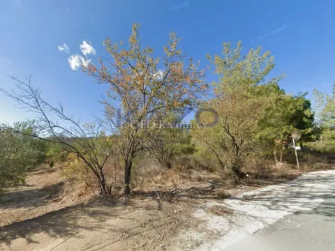 Large 1583 m2 Building Plot in Trimiklini (Under Division) - 4