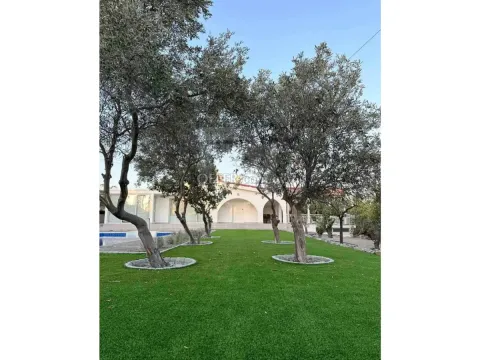 Beautiful Villa private pool Moni Limassol Cyprus - 9