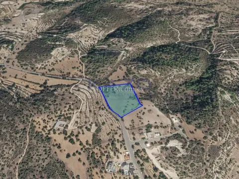 Large Development Land for Sale in Scenic Mathikoloni - 4