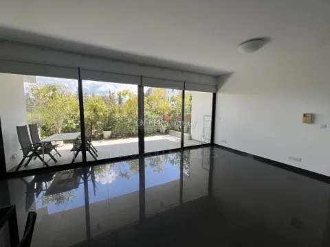 Ground floor Two Bedroom Luxury Apartment for Rent in Engomi - 9