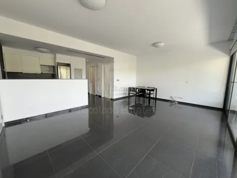 Ground floor Two Bedroom Luxury Apartment for Rent in Engomi - 5
