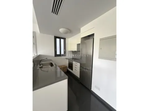 Ground floor Two Bedroom Luxury Apartment for Rent in Engomi - 4
