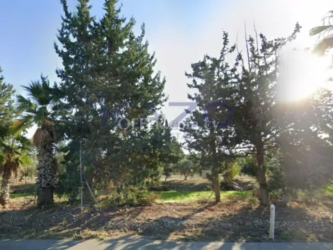 Large Residential Field in Polis Chrysochous - Main Photo