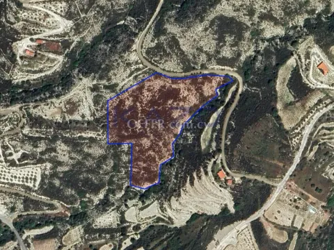Large 19675 m2 Field for Sale in Laneia - Main Photo