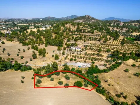 Residential field in Lythrodontas Nicosia - Main Photo