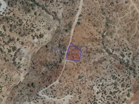Large Field Plot 3011m2 for Sale Parekklisia (Landlocked) - Main Photo