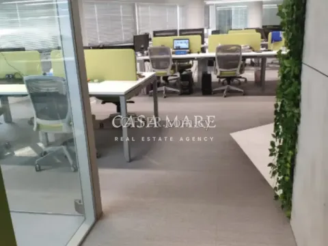 Office in Limassol Center - 6