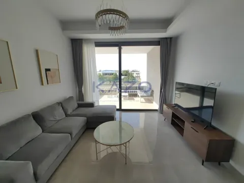 Prestigious Four Bedroom Apartment for Sale in Linopetra - Main Photo