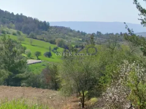 Large 2676m2 Field for Sale in Lysos Village - Main Photo