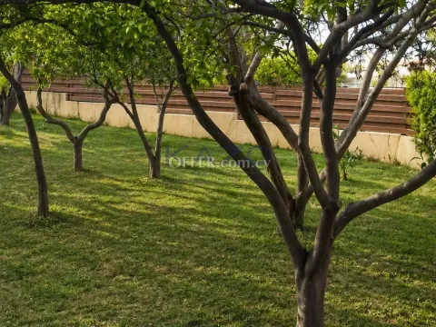 Detached House Episkopi Large Plot Two Bedrooms - 7