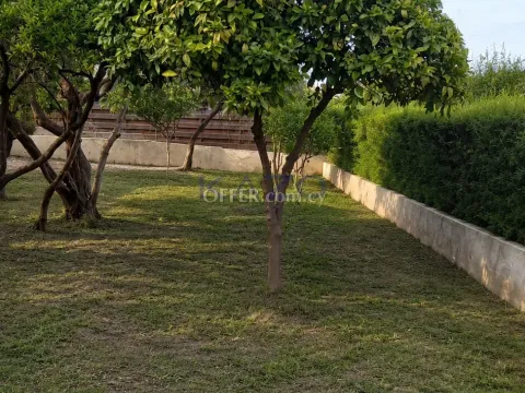 Detached House Episkopi Large Plot Two Bedrooms - 6