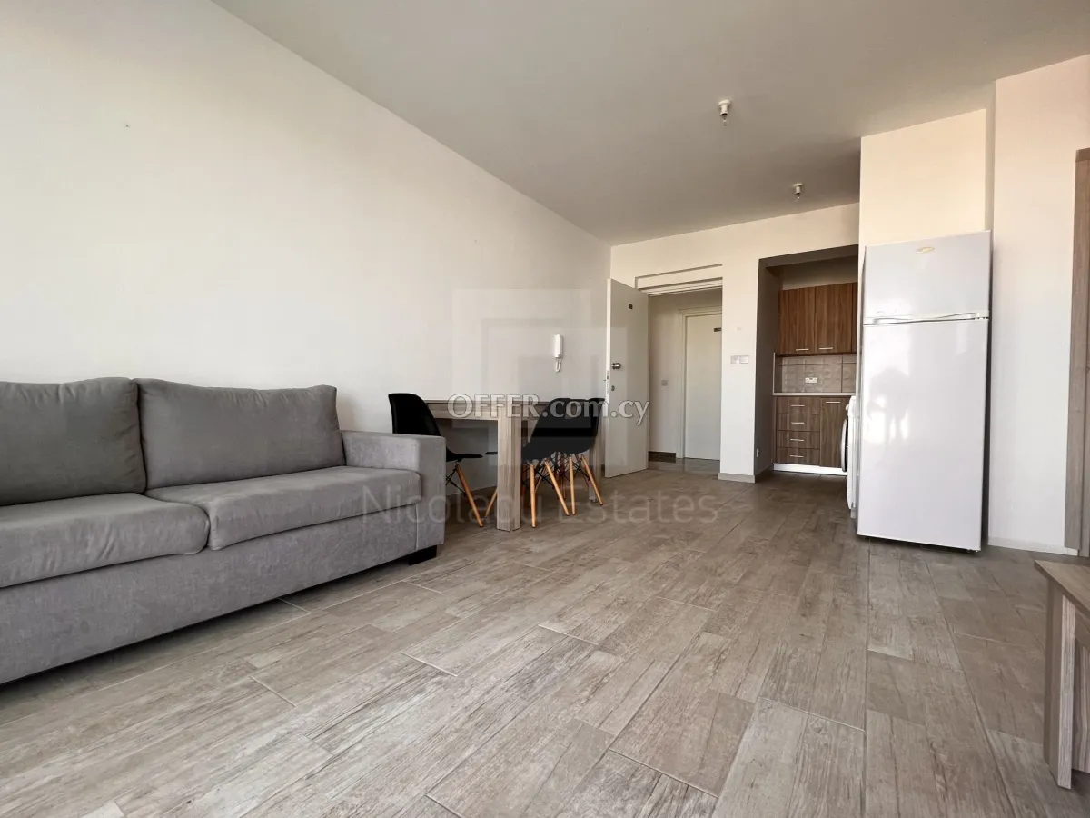 Modern two bedroom apartment for Rent in Aglantzia near University of Cyprus - 10