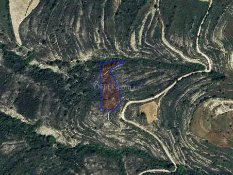 Large 3679m2 Field for Sale in Lofou Village (Landlocked) - Main Photo